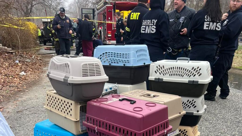 Tragedy Strikes Long Island Animal Sanctuary as Founder Dies in Fire