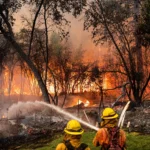 Firefighters Battle Carolina Wildfires